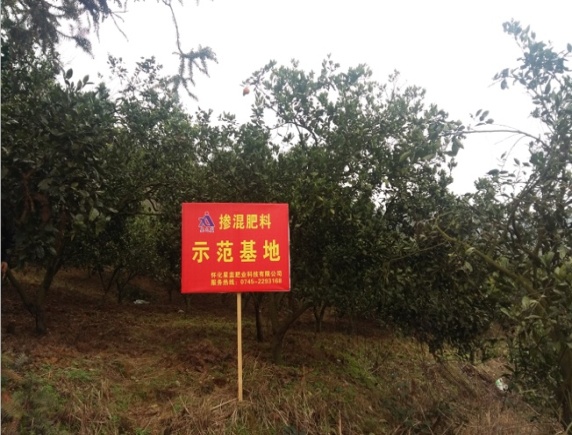 懷化星藍肥業科技有限公司,摻混肥,硝鈣基高氮肥,硝硫基高氮肥,生物酶活化磷,活化鈣鎂磷 懷化星藍肥業科技有限公司,摻混肥,硝鈣基高氮肥,硝硫基高氮肥,生物酶活化磷,活化鈣鎂磷